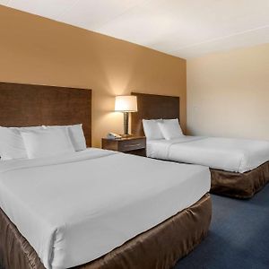 Chambre Lit Queen-Size